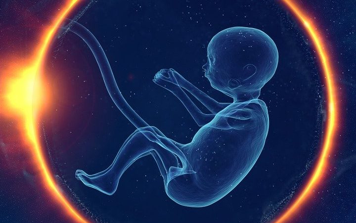 Fehlgeburten und Abgänge im Familiensystem