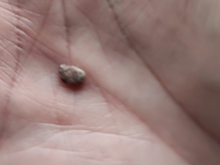 Beurteile dich selbst ehe du andere beurteilst